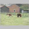 BrasschHulst032.jpg